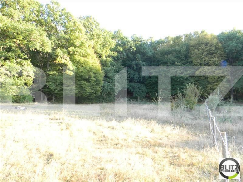 Teren de vânzare Făget - 22949TV | BLITZ Cluj-Napoca | Poza3