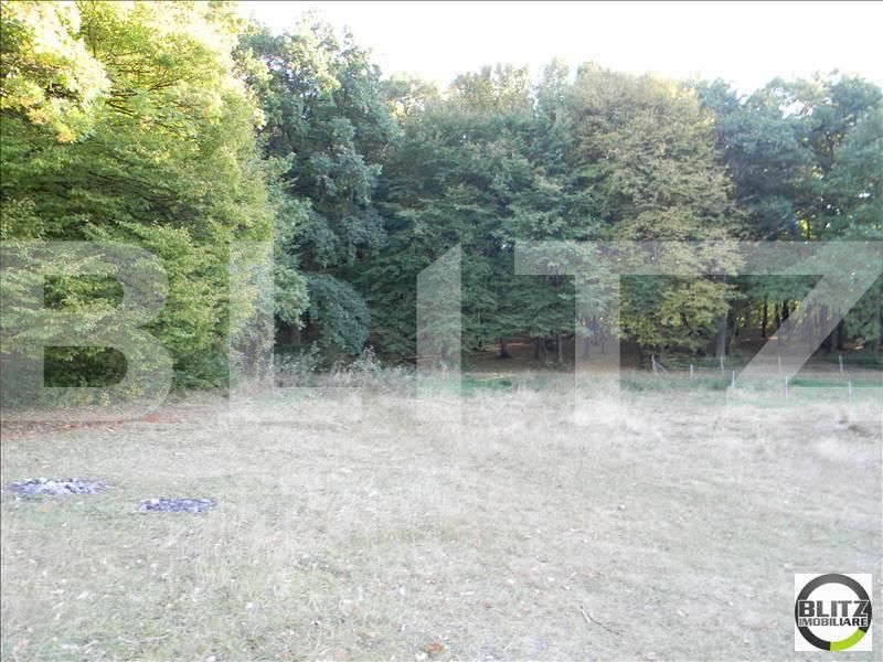 Teren de vânzare Făget - 22949TV | BLITZ Cluj-Napoca | Poza4