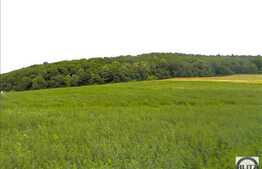 Oferta unica! Teren 600 mp, front 18 ml,  zona linistita de case! Popesti Vale!