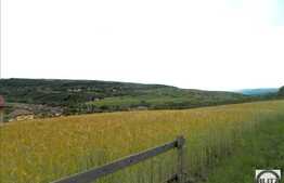 Oferta unica! Teren 600 mp, front 18 ml,  zona linistita de case! Popesti Vale!