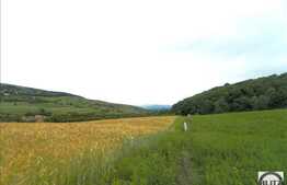 Oferta unica! Teren 600 mp, front 18 ml,  zona linistita de case! Popesti Vale!