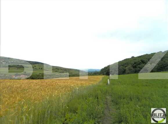 Teren de vânzare Dambul Rotund - 22954TV | BLITZ Cluj-Napoca | Poza5