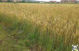 De vanzare teren, 2973 mp, in zona TERRA!