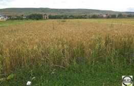 De vanzare teren, 2973 mp, in zona TERRA!