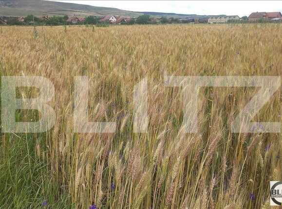 Teren de vânzare Floreşti - 22958TV | BLITZ Cluj-Napoca | Poza2