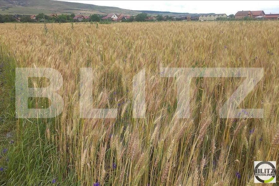 Teren de vânzare Floreşti - 22958TV | BLITZ Cluj-Napoca | Poza2