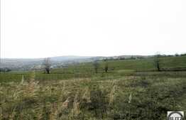 Teren de vanzare 525 mp, cu front 30 ml, apa la front