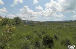 Vanzare teren cu destinatie casa de vacanta, 518 mp, utilitati in zona!