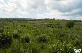 Vanzare teren cu destinatie casa de vacanta, 518 mp, utilitati in zona!