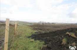 Teren de vanzare cu PUZ , 1447 mp, 2 fronturi, zona Borhanci