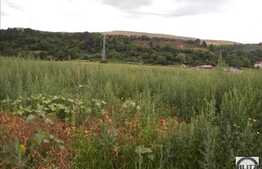 Vanzare teren extravilan, 5781 mp, utilitati la front, zona linistita!