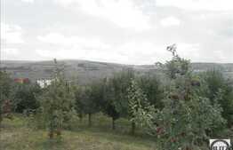 Teren ideal pentru o casa de vacanta, 1328 mp, 29,38 ml front stradal!