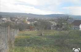 Teren ideal pentru o casa de vacanta, 1328 mp, 29,38 ml front stradal!