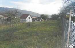 Teren ideal pentru o casa de vacanta, 1328 mp, 29,38 ml front stradal!