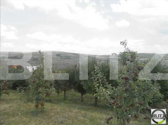 Teren de vânzare Baciu - 22971TV | BLITZ Cluj-Napoca | Poza3