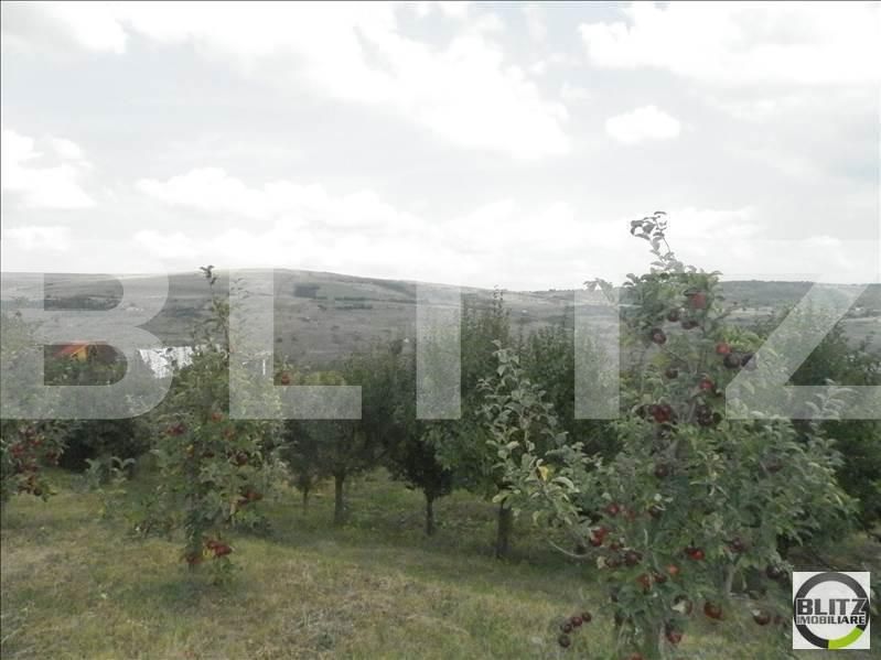 Teren de vânzare Baciu - 22971TV | BLITZ Cluj-Napoca | Poza3