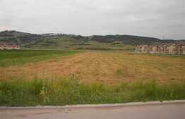 Vanzare teren cu 10500 mp, front 33 ml, parcelabil, zona TERRA !