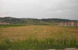 Vanzare teren cu 10500 mp, front 33 ml, parcelabil, zona TERRA !