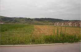 Vanzare teren cu 10500 mp, front 33 ml, parcelabil, zona TERRA !