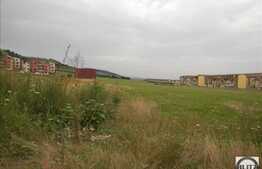Teren de vanzare in zona strazii Teilor, 8800 mp!