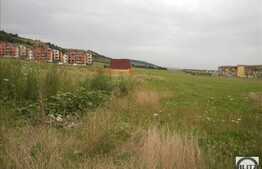 Teren de vanzare in zona strazii Teilor, 8800 mp!