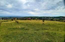 Teren intravilan 6440 mp, Borhanci,cu PUZ aprobat prin HCL,zona linistita de case/vile