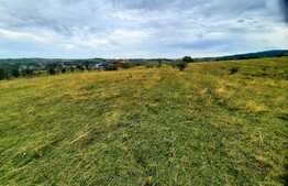 Teren intravilan 6440 mp, Borhanci,cu PUZ aprobat prin HCL,zona linistita de case/vile