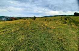 Teren intravilan 6440 mp, Borhanci,cu PUZ aprobat prin HCL,zona linistita de case/vile