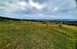 Teren intravilan 6440 mp, Borhanci,cu PUZ aprobat prin HCL,zona linistita de case/vile