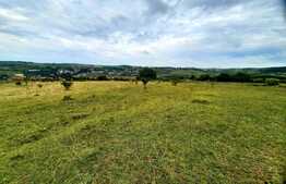 Teren intravilan 6440 mp, Borhanci,cu PUZ aprobat prin HCL,zona linistita de case/vile