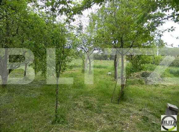 Teren de vânzare Dambul Rotund - 22983TV | BLITZ Cluj-Napoca | Poza3