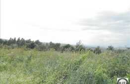 Autorizatie de constructie! Teren 689 mp cu front 10 ml.  PUZ, PUD, POT 20%