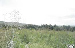 Autorizatie de constructie! Teren 689 mp cu front 10 ml.  PUZ, PUD, POT 20%