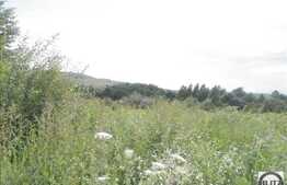 Autorizatie de constructie! Teren 689 mp cu front 10 ml.  PUZ, PUD, POT 20%