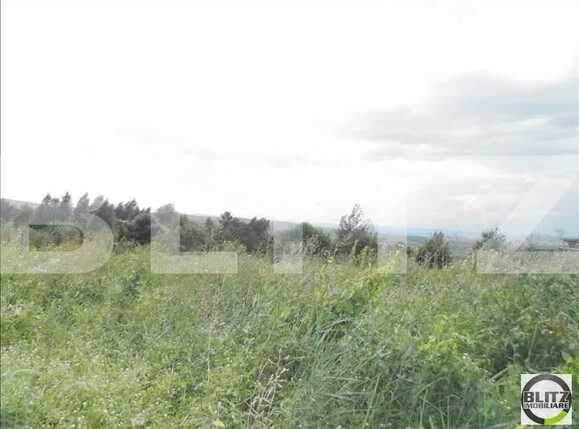 Teren de vânzare Făget - 22984TV | BLITZ Cluj-Napoca | Poza9