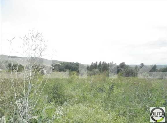 Teren de vânzare Făget - 22984TV | BLITZ Cluj-Napoca | Poza10