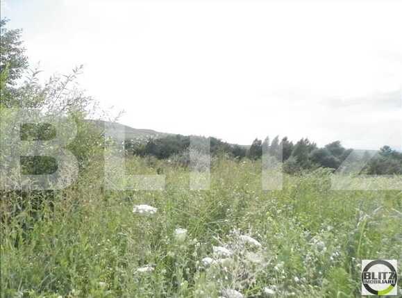 Teren de vânzare Făget - 22984TV | BLITZ Cluj-Napoca | Poza8