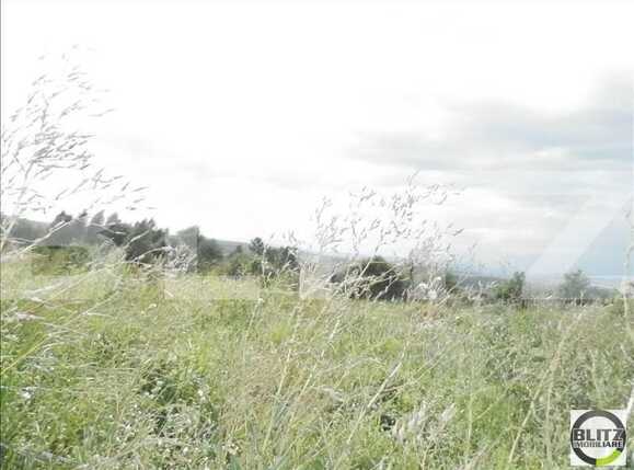 Teren de vânzare Făget - 22984TV | BLITZ Cluj-Napoca | Poza7