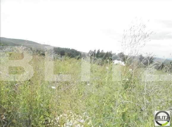 Teren de vânzare Făget - 22984TV | BLITZ Cluj-Napoca | Poza6