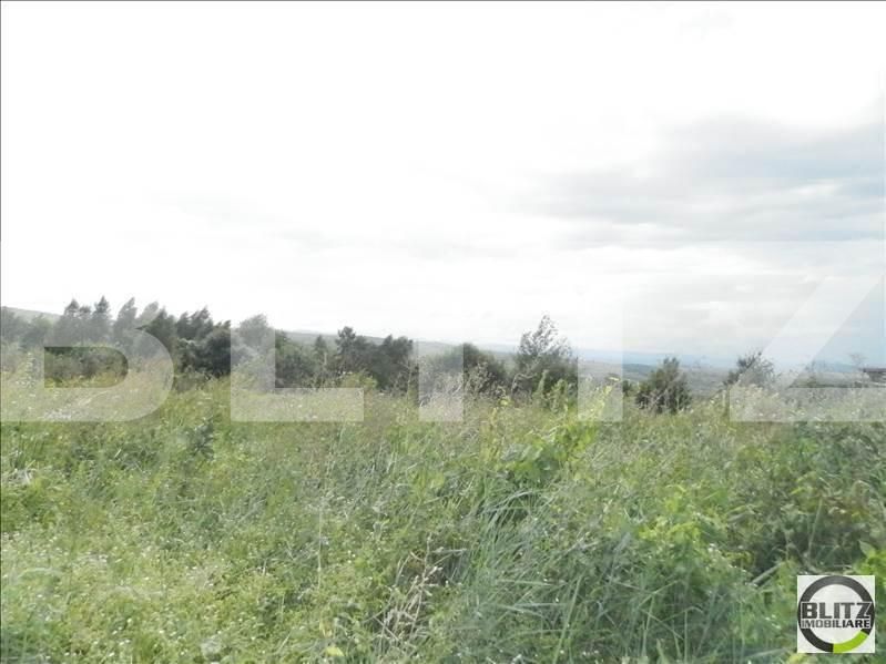 Teren de vânzare Făget - 22984TV | BLITZ Cluj-Napoca | Poza9