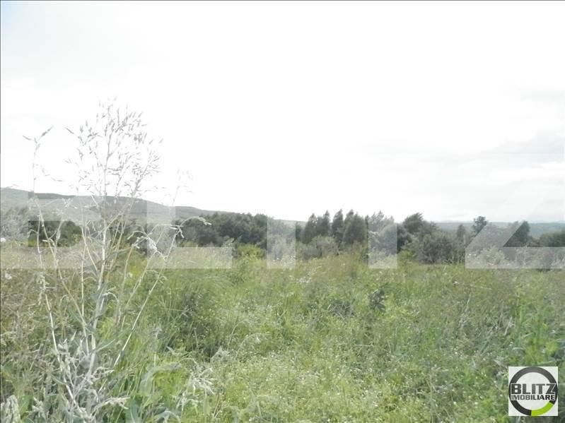 Teren de vânzare Făget - 22984TV | BLITZ Cluj-Napoca | Poza10