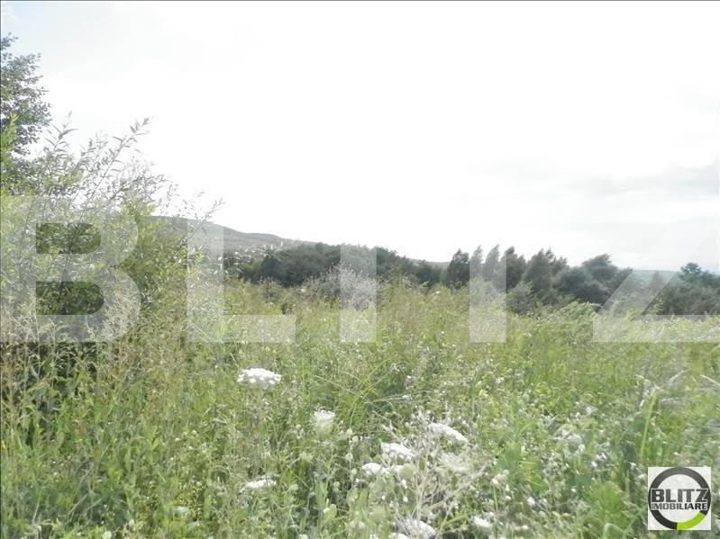 Teren de vânzare Făget - 22984TV | BLITZ Cluj-Napoca | Poza8