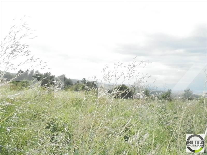 Teren de vânzare Făget - 22984TV | BLITZ Cluj-Napoca | Poza7