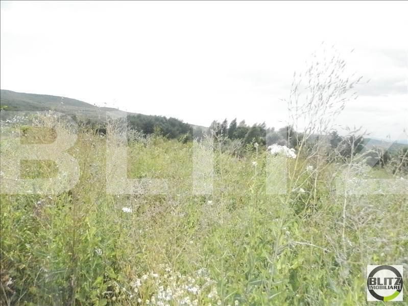 Teren de vânzare Făget - 22984TV | BLITZ Cluj-Napoca | Poza6