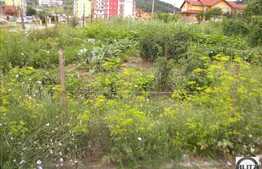 Vanzare teren in zona Teilor cu 1000 mp, front la 2 strazi!