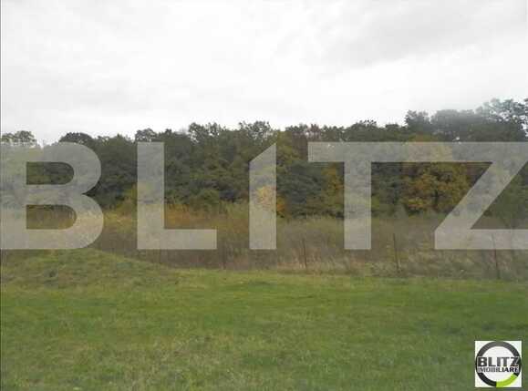 Teren de vânzare Făget - 22989TV | BLITZ Cluj-Napoca | Poza7