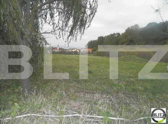 Teren de vânzare Făget - 22989TV | BLITZ Cluj-Napoca | Poza12