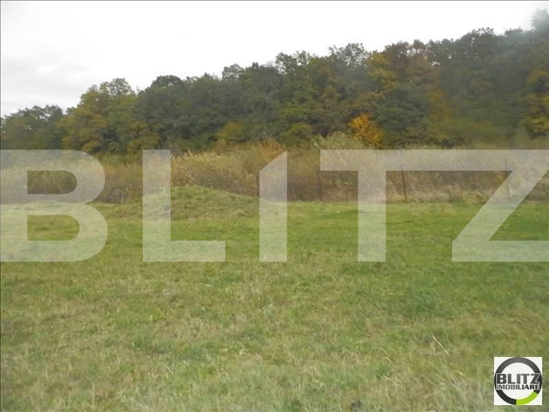 Teren de vânzare Făget - 22989TV | BLITZ Cluj-Napoca | Poza6