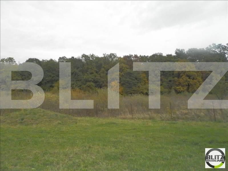 Teren de vânzare Făget - 22989TV | BLITZ Cluj-Napoca | Poza7