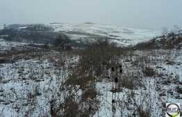 Teren de vanzare, 3500 mp, front 35 ml, necesita PUZ!